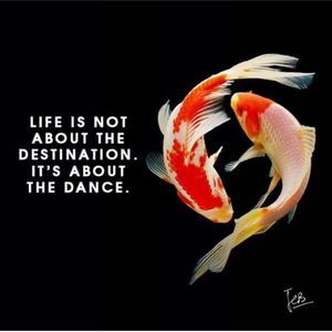 Meet your Posher, Rita